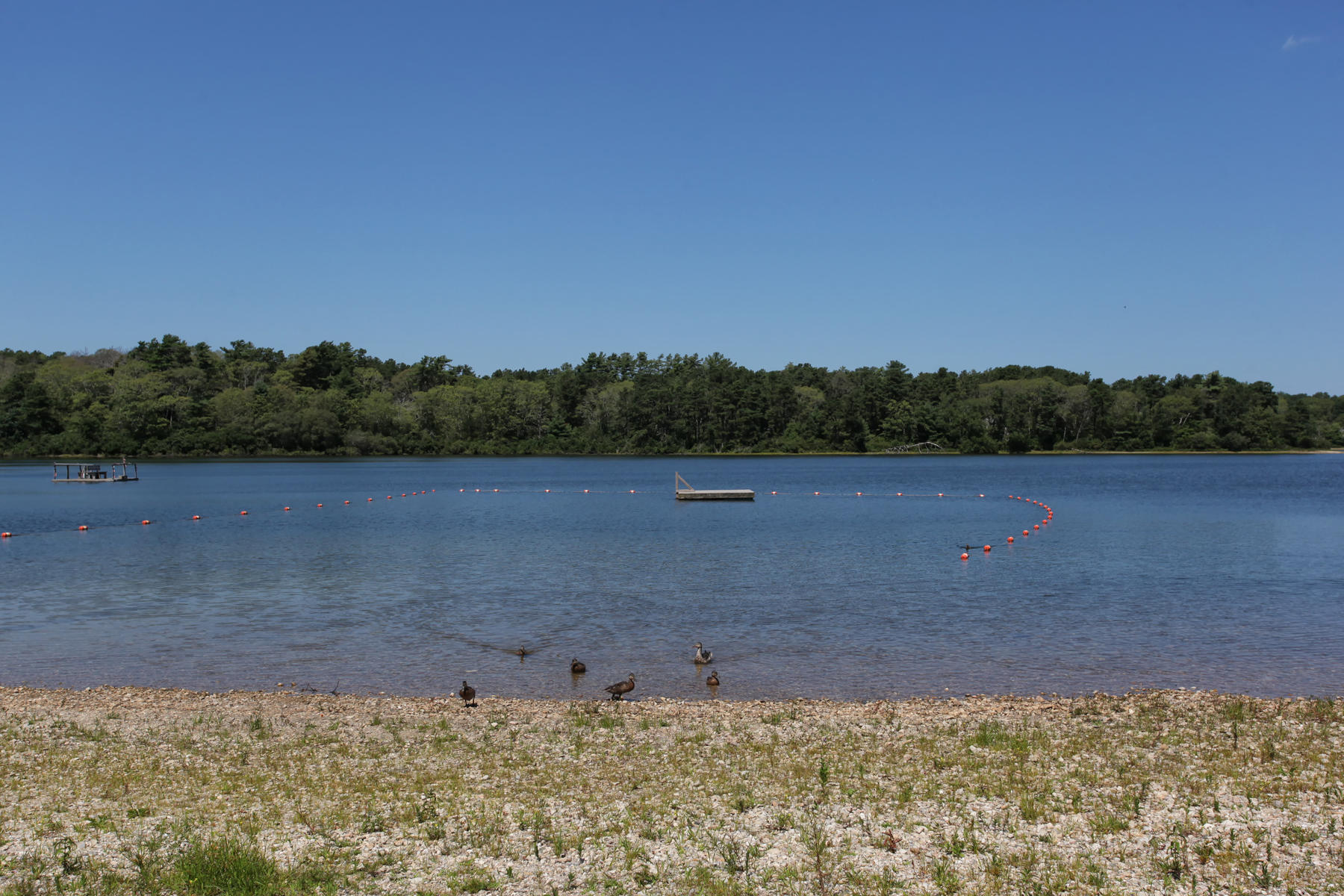 86 Old Fields Road Sandwich, MA 02563 - Photo 20 of 40 0403769(1)