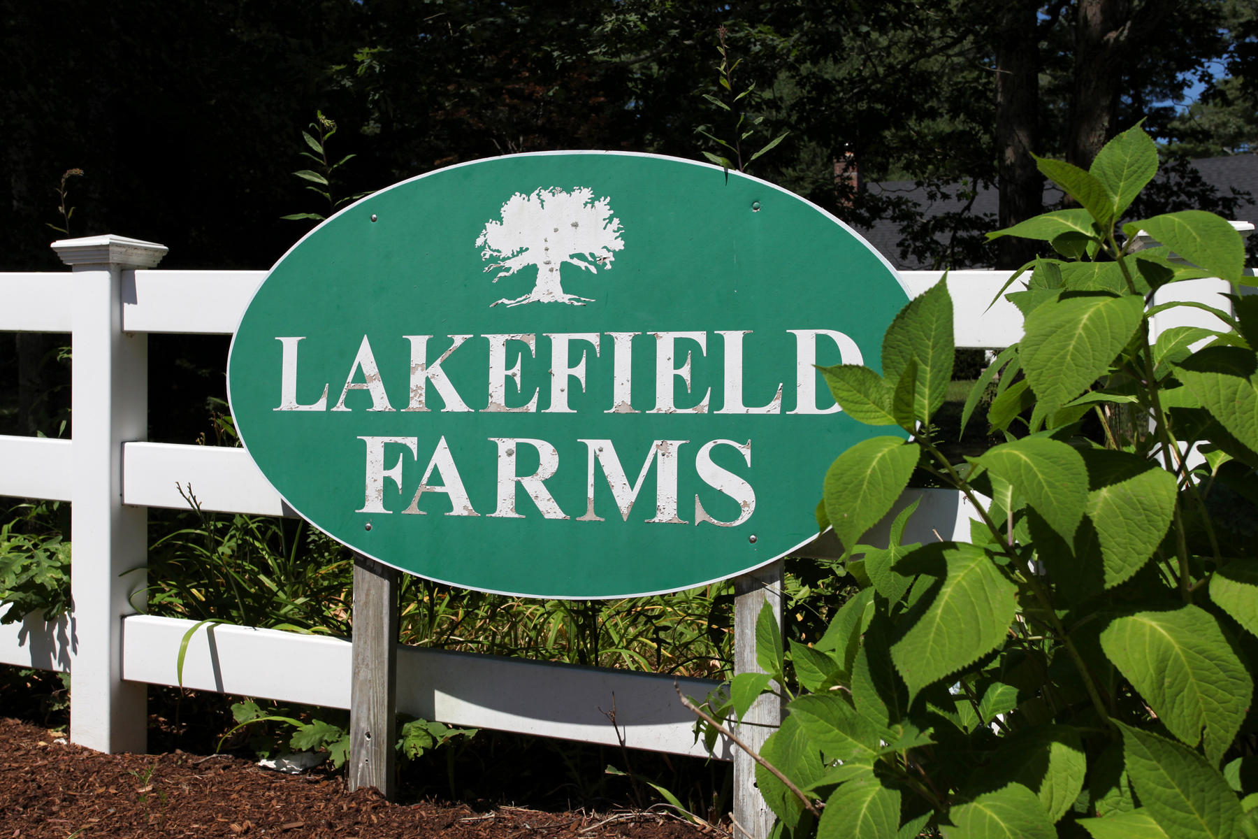86 Old Fields Road Sandwich, MA 02563 - Photo 22 of 40 0403769(2)