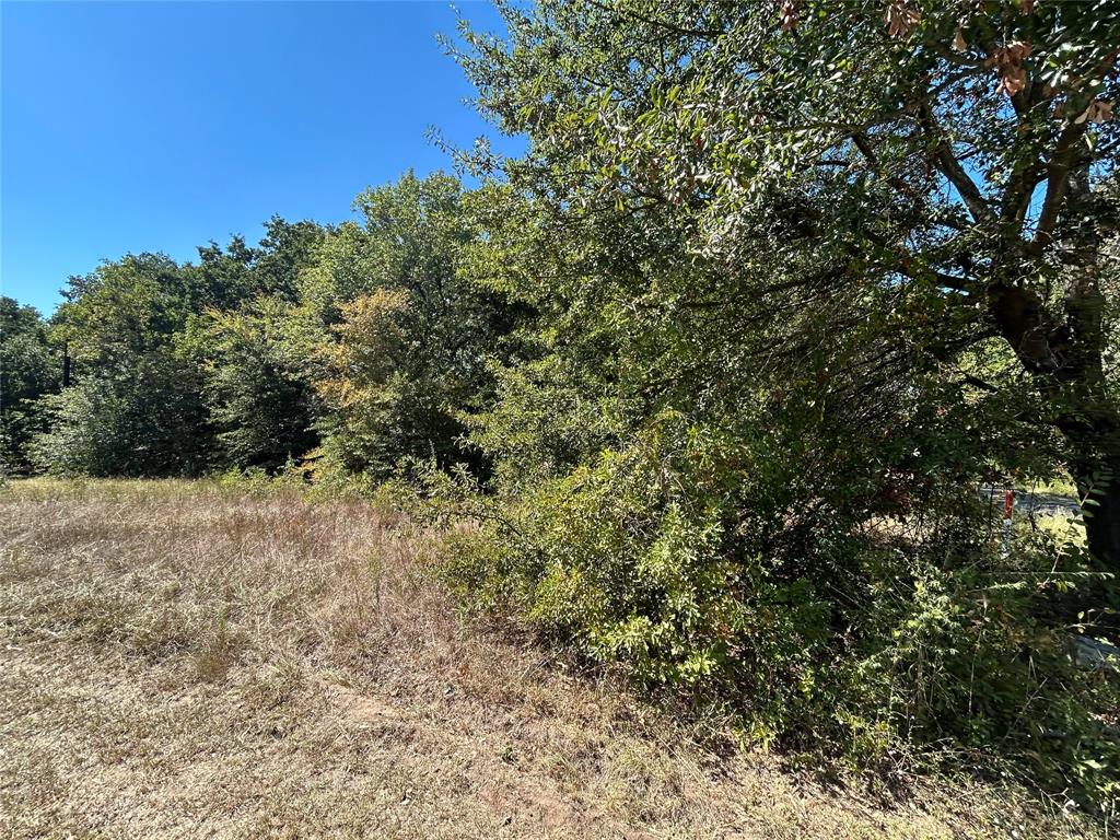 148 Midway Road Tool, TX 75143 - Photo 4 of 8 a view of a yard with a tree