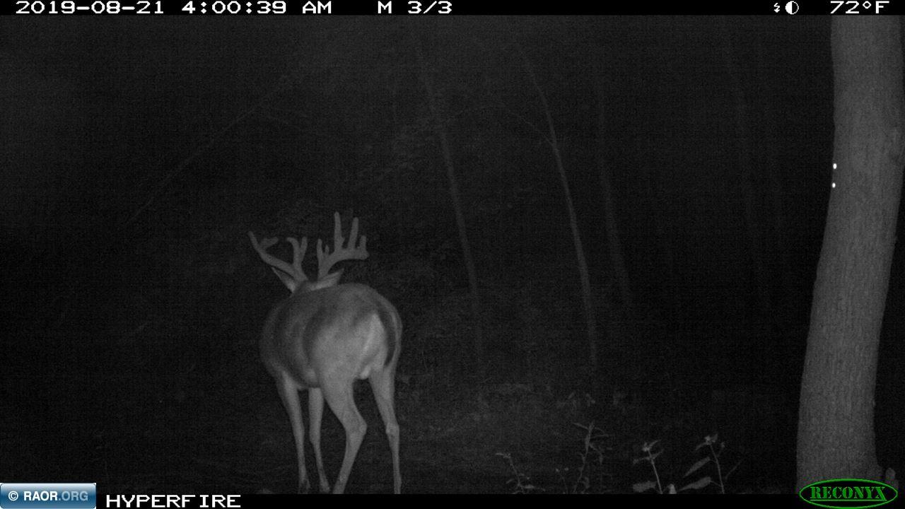 Xxx Xxx Greaney Road Orr, MN 55771 - Photo 14 of 14