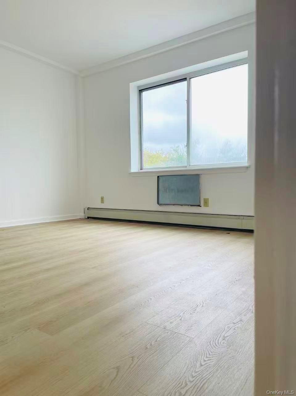 100-05 37th Avenue, Unit 4 Queens, NY 11368 - Photo 3 of 10 Spare room with a baseboard radiator, ornamental molding, and light wood-style floors