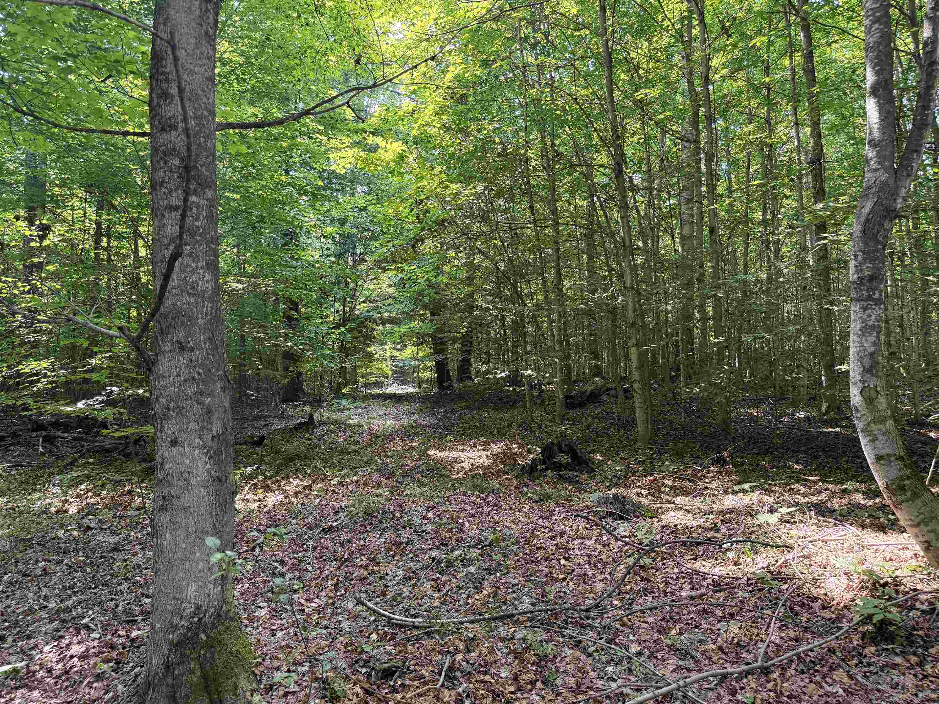 Crouch Road Fife Lake, MI 49633 - Photo 26 of 30 Gallery Image 26