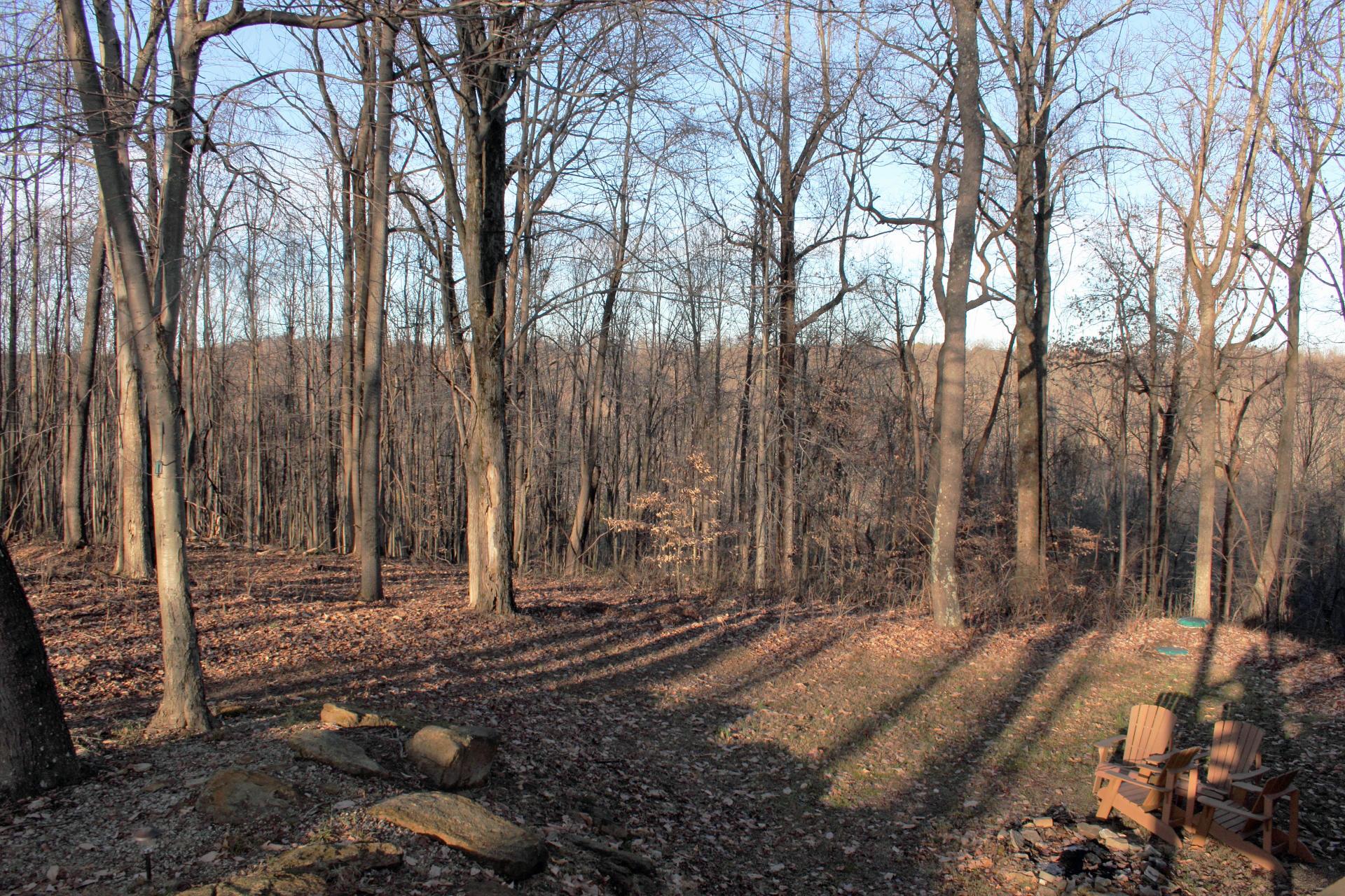 11692 Woodland Ridge Road Rockbridge, OH 43149 - Photo 39 of 40 Gallery Image 39