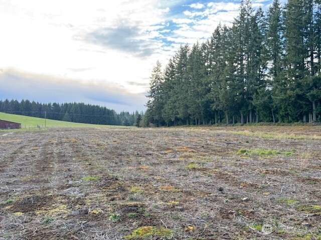 1 Frogner Road Chehalis, WA 98532 - Photo 10 of 12 Gallery Image 10