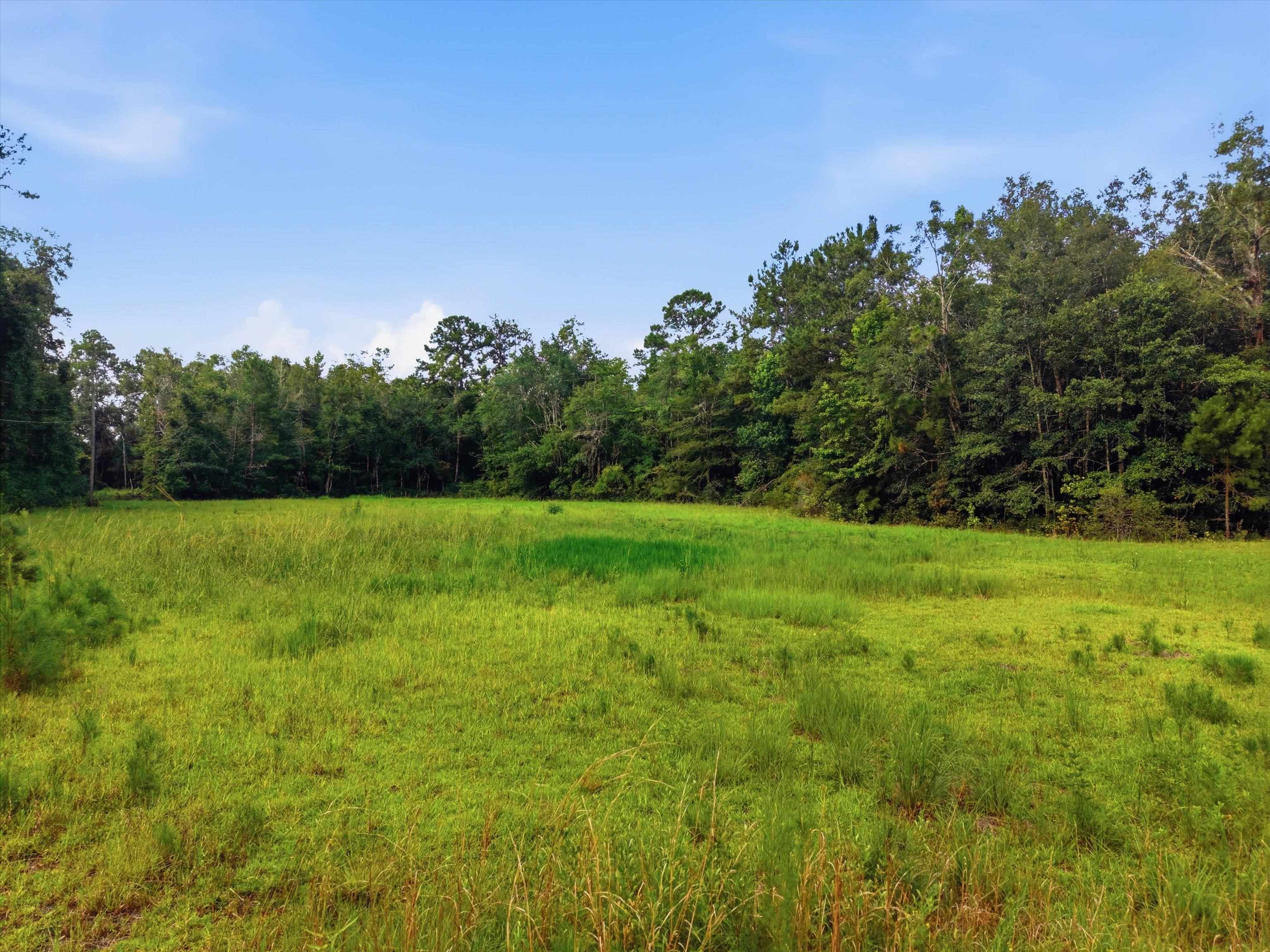 Xxx Neely Road Monticello, FL 32344 - Photo 3 of 37