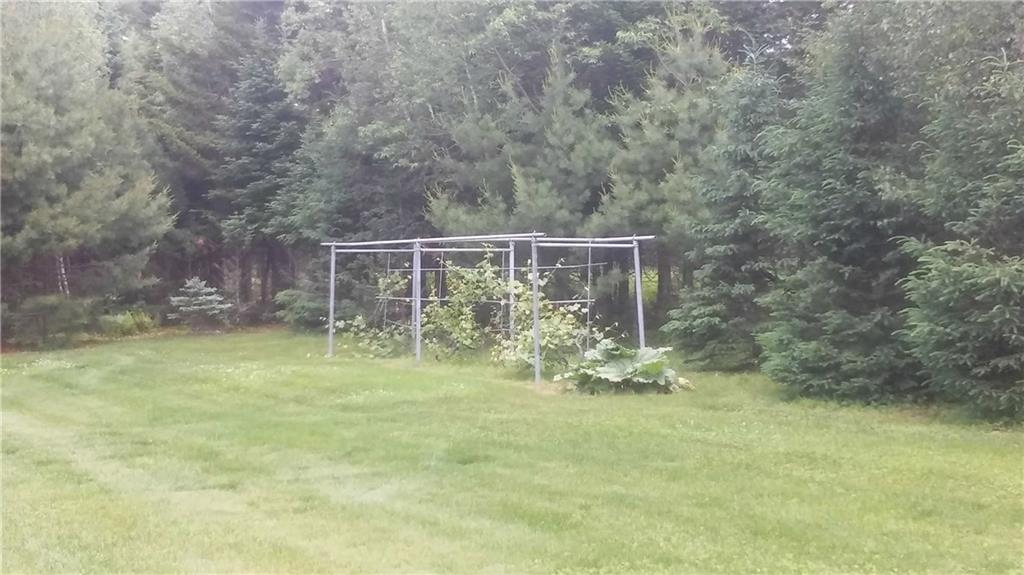 50 Birch Road New Portland, ME 04961 - Photo 9 of 32 Grape Vine