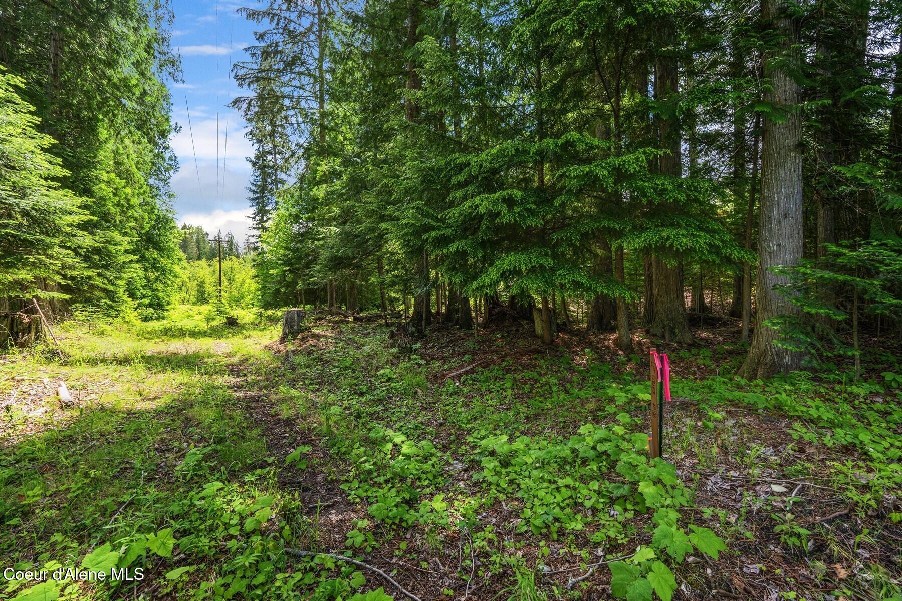 Lot 29 Bruin Road Nordman, ID 83848 - Photo 15 of 44 86560219