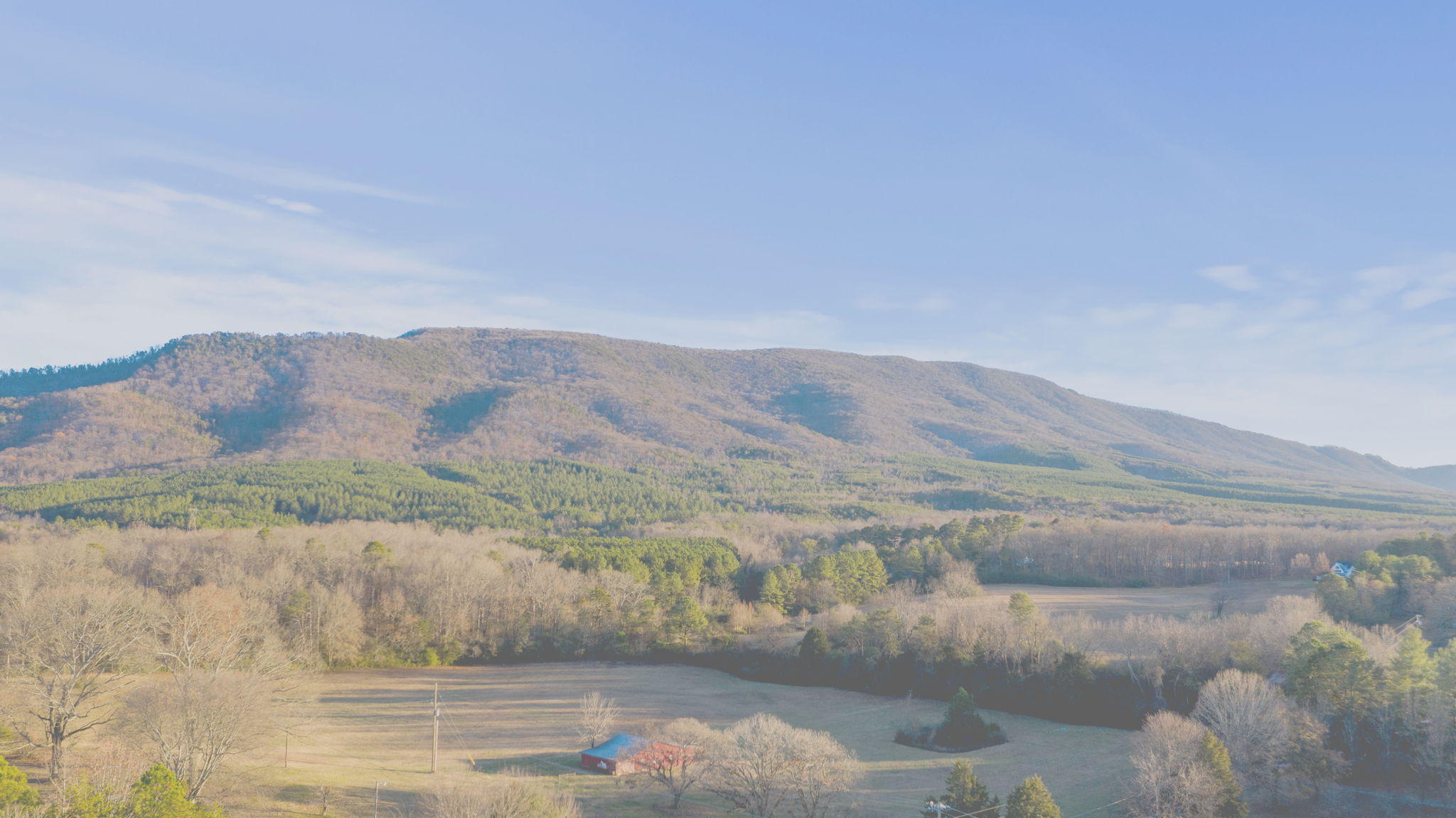 278 Bailey Road Benton, TN 37307 - Photo 30 of 30 40