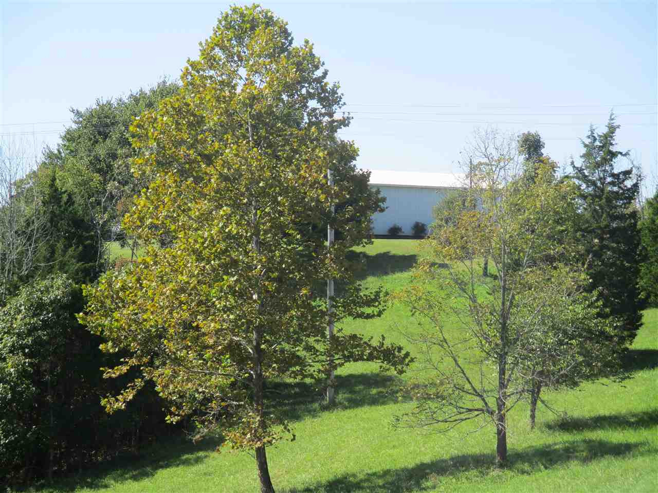 2191 Liberty Ridge Road Falmouth, KY 41040 - Photo 12 of 45 Gallery Image 12