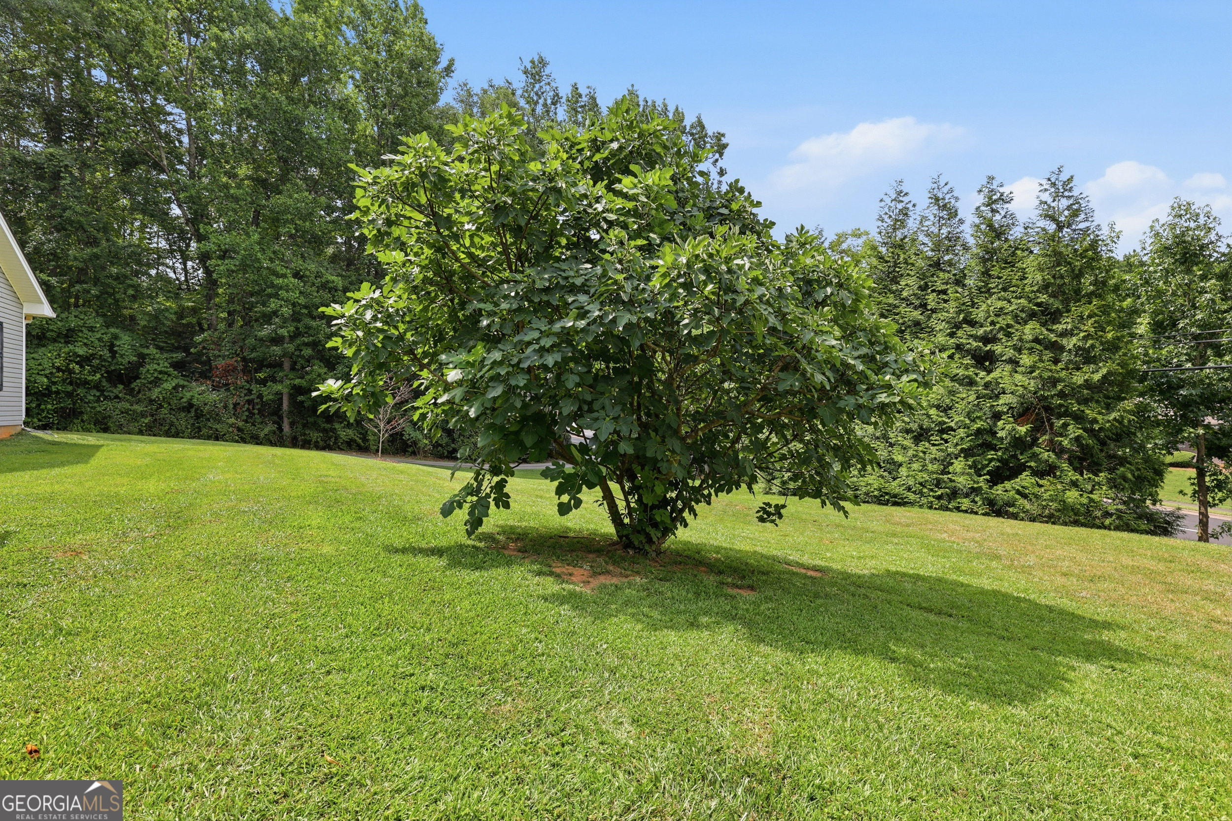 980 Falls Road Toccoa, GA 30577 - Photo 55 of 57 Gallery Image 55
