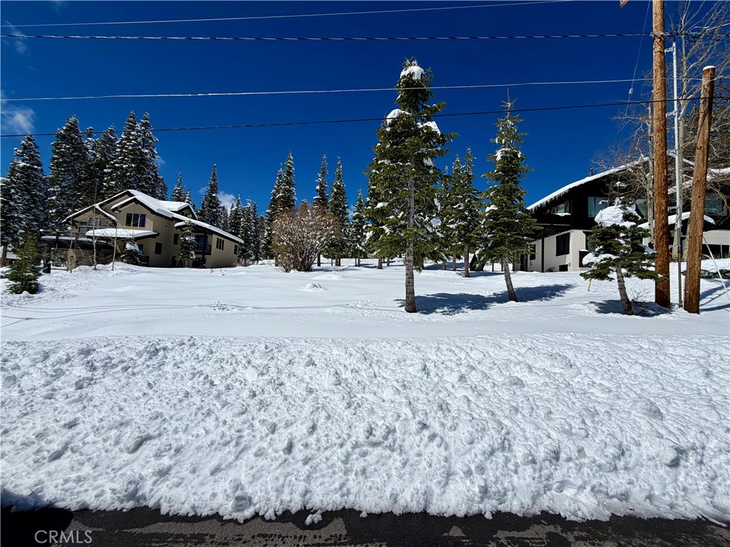 11784 Rhineland Avenue Truckee, CA 96161 - Photo 5 of 6 a view of outdoor space and yard