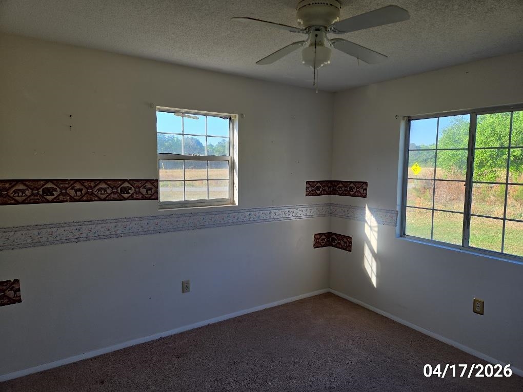 16 Leahs Loop Greeleyville, SC 29056 - Photo 12 of 20