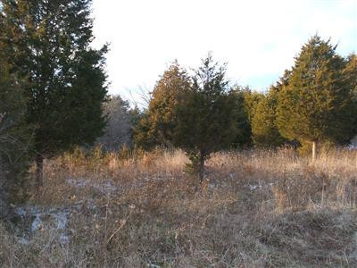 18 Crooked Creek Road Lexington, KY 40508 - Photo 19 of 42 Photo 19