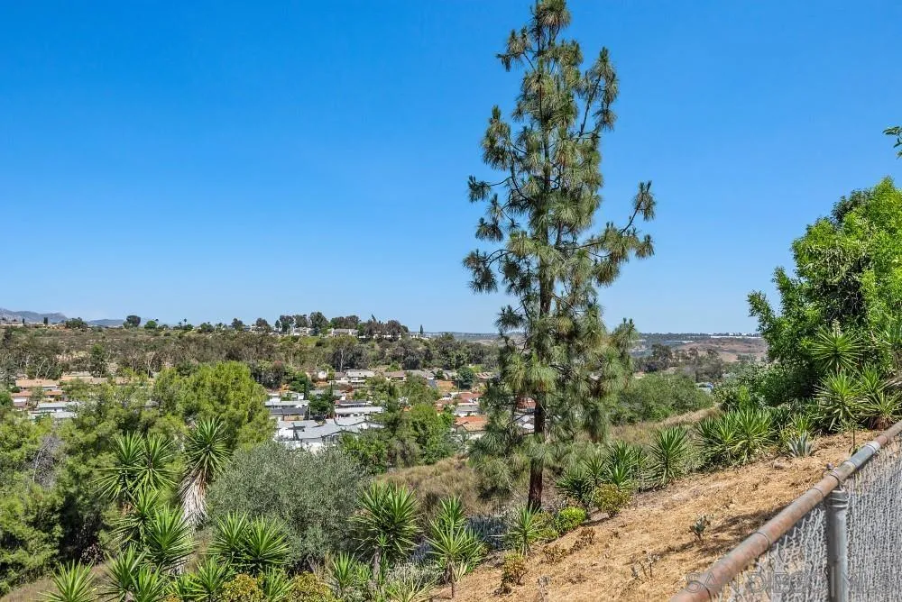 13765 Celestial Road Poway, CA 92064 - Photo 42 of 59 a view of a city with a tree in the background