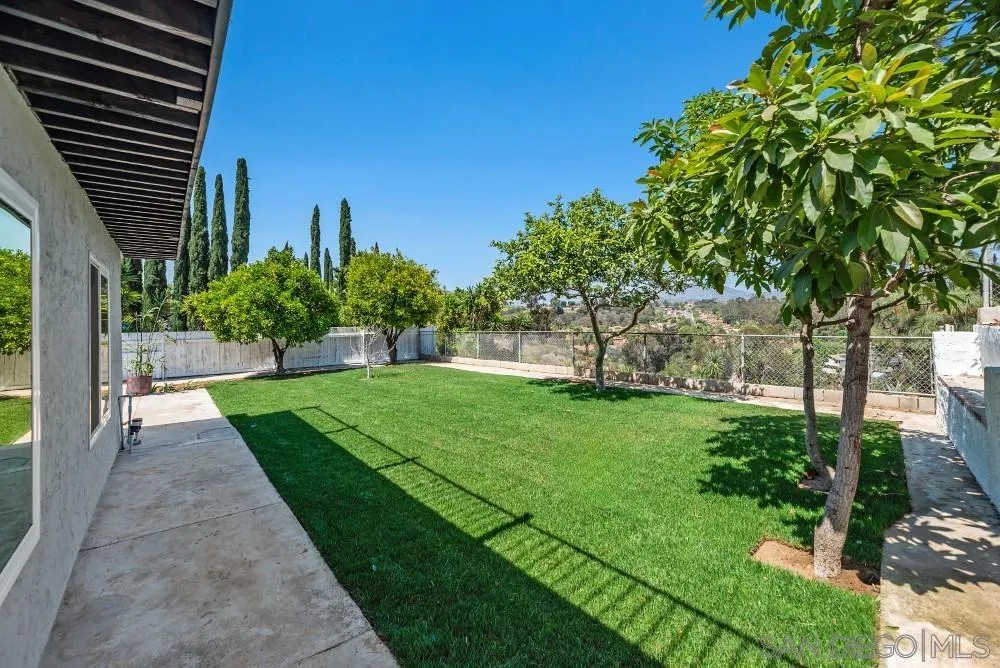 13765 Celestial Road Poway, CA 92064 - Photo 47 of 59 a view of a yard with plants and a large tree