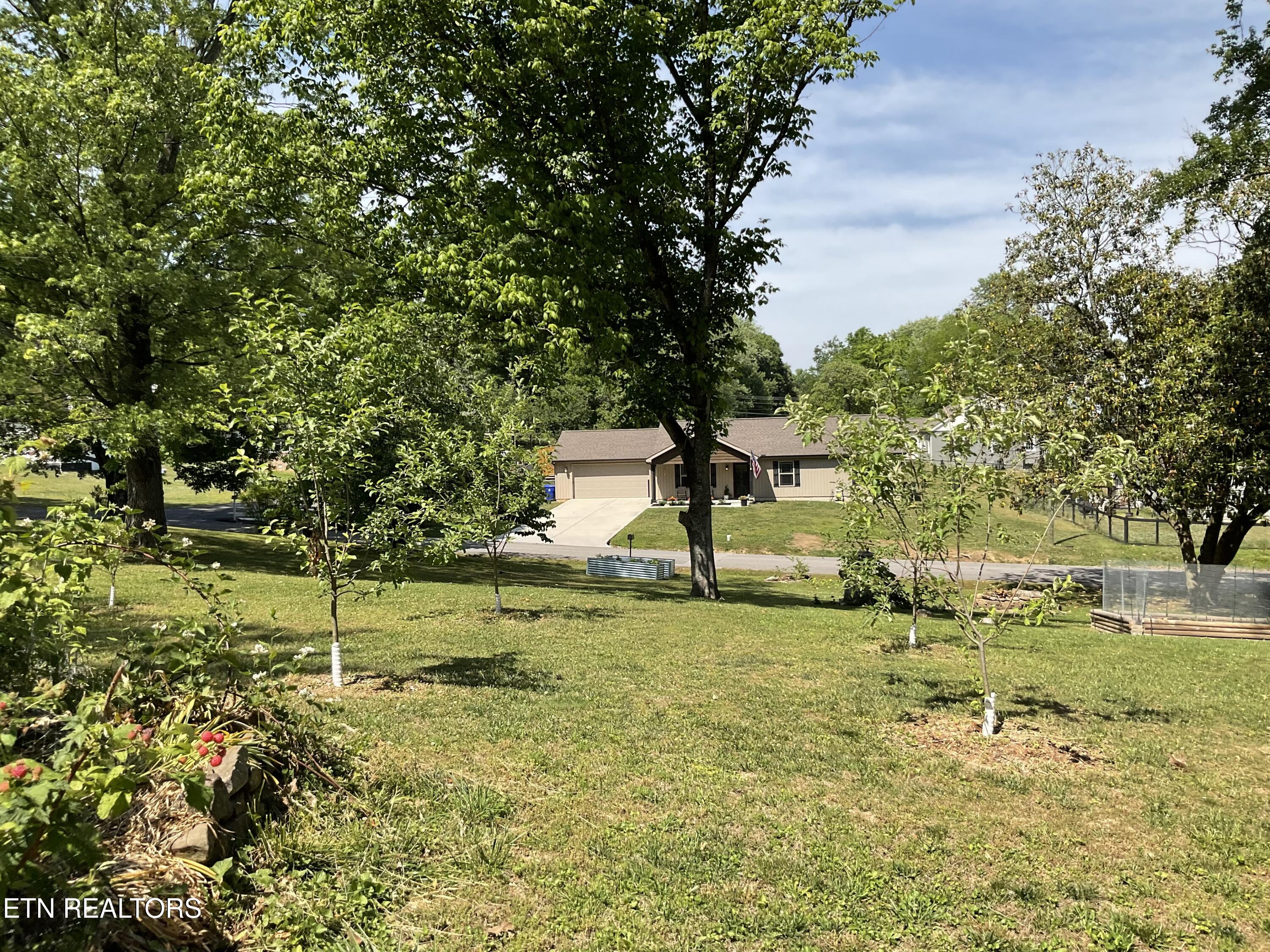 328 Ridgeview Drive Clinton, TN 37716 - Photo 38 of 45 Fruit trees