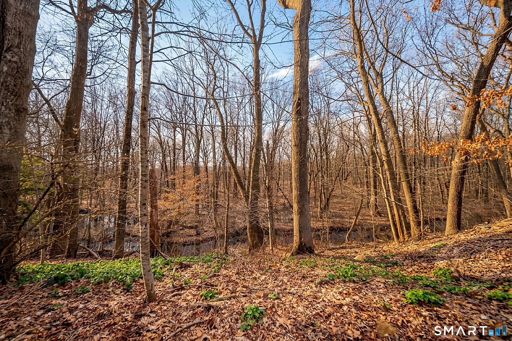 405 Pond Meadow Road Westbrook, CT 06498 - Photo 25 of 30