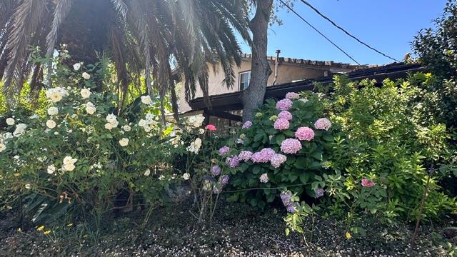 4120 Godley Road Lincoln, CA 95648 - Photo 3 of 12