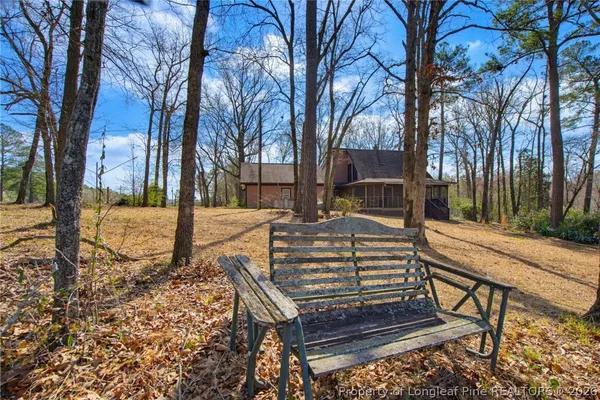 a view of a bench in a forest