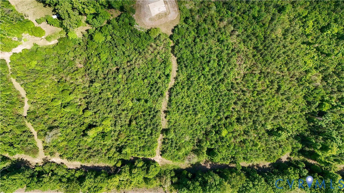 0 Old Ridge Road Farmville, VA 23901 - Photo 17 of 26
