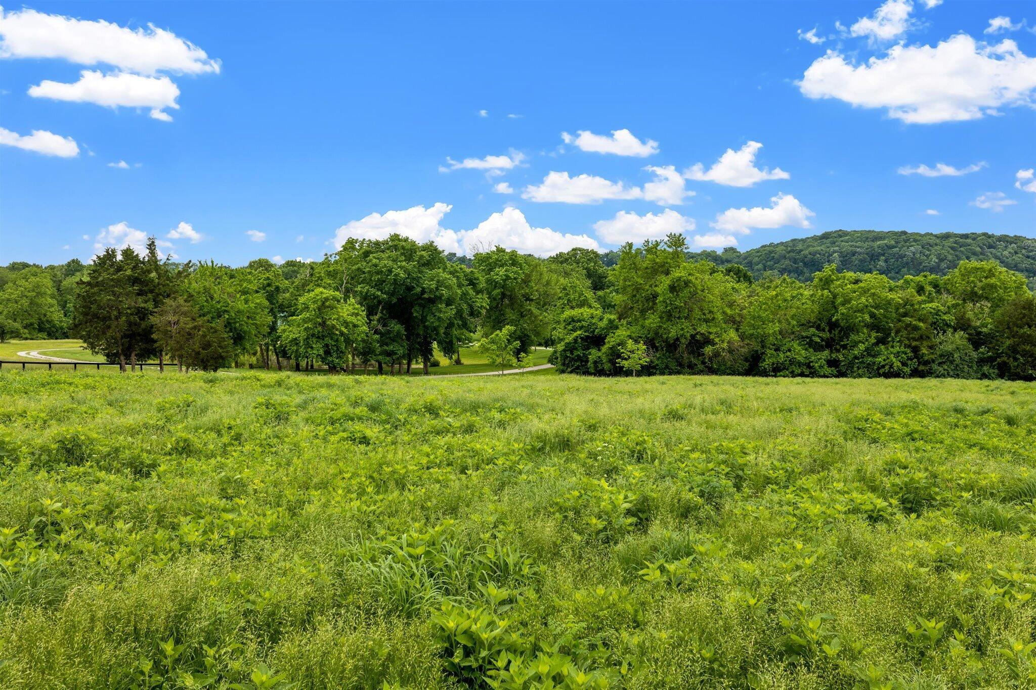 3605 Watts Ferry Road Frankfort, KY 40601 - Photo 164 of 181 147-0J2A8865
