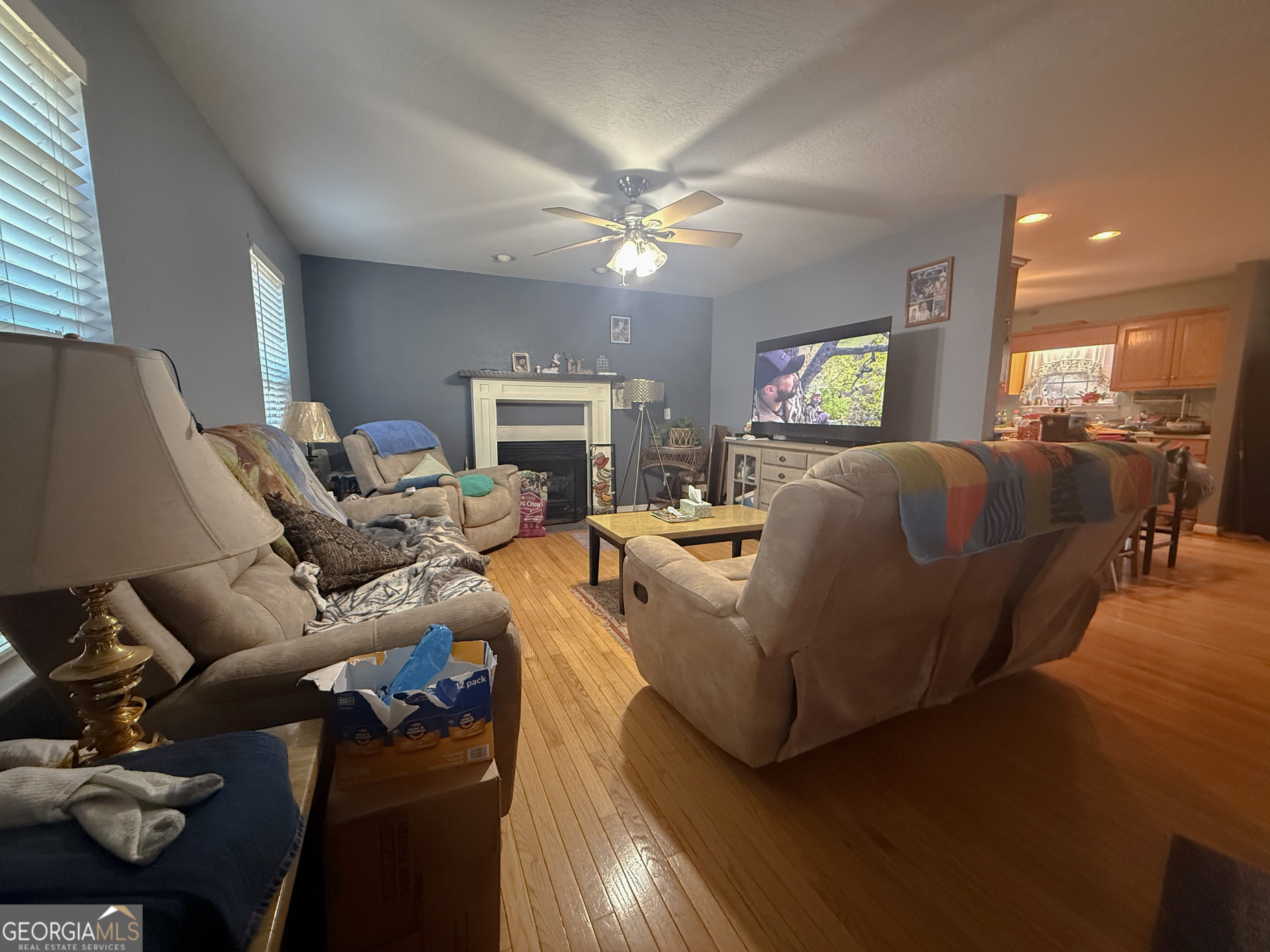 70 Greenview Court Cleveland, GA 30528 - Photo 2 of 20