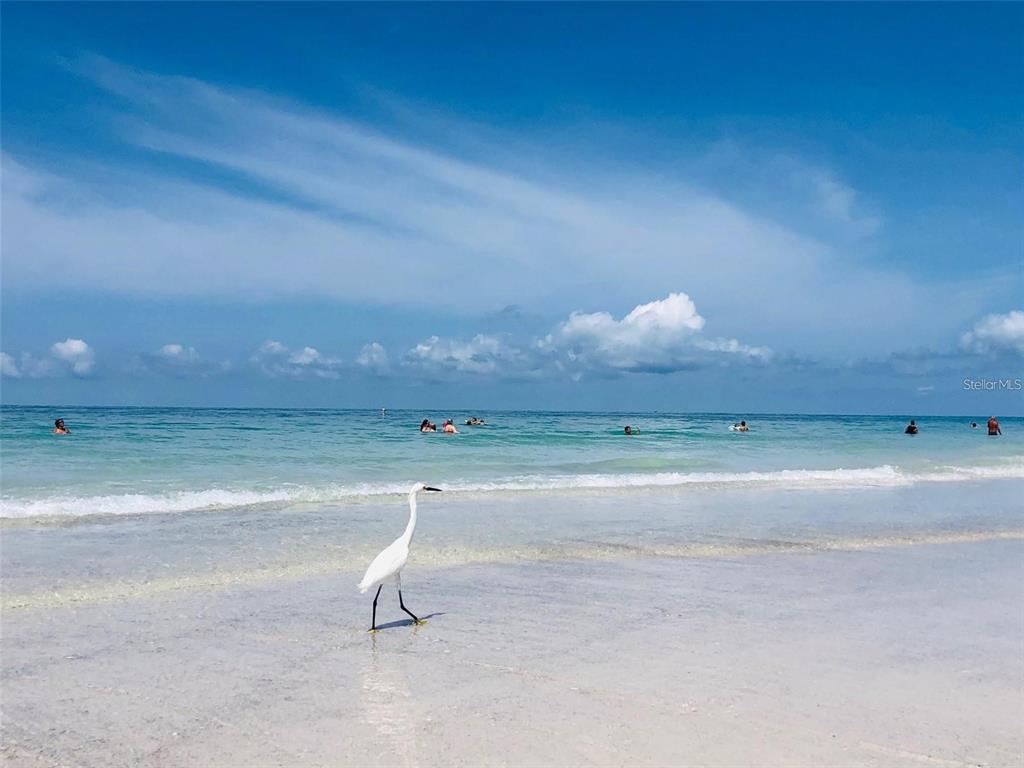102 Sunset Lane Holmes Beach, FL 34217 - Photo 13 of 14 a room with a hard wood floor