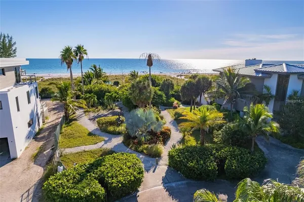 a view of a flower in a garden