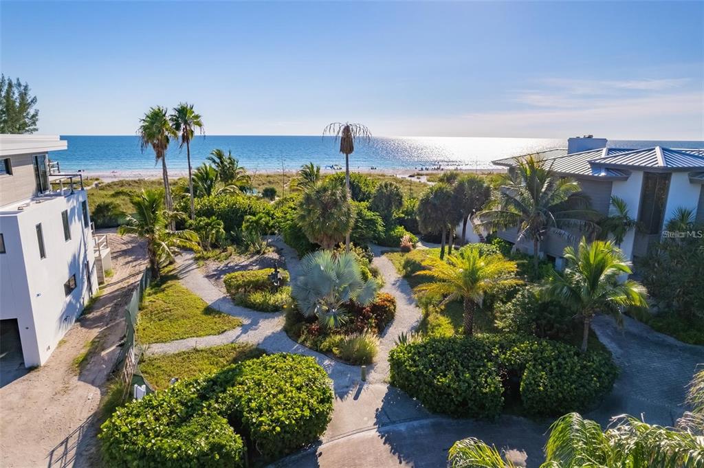 102 Sunset Lane Holmes Beach, FL 34217 - Photo 7 of 14 a view of a flower in a garden