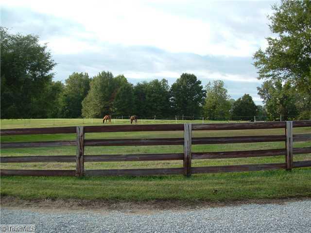 2254 Cullen Road Gibsonville, NC 27249 - Photo 11 of 16 Land/Lot. View from driveway coming into property