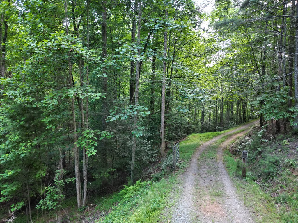 3891 River Hill Road Murphy, NC 28906 - Photo 63 of 90