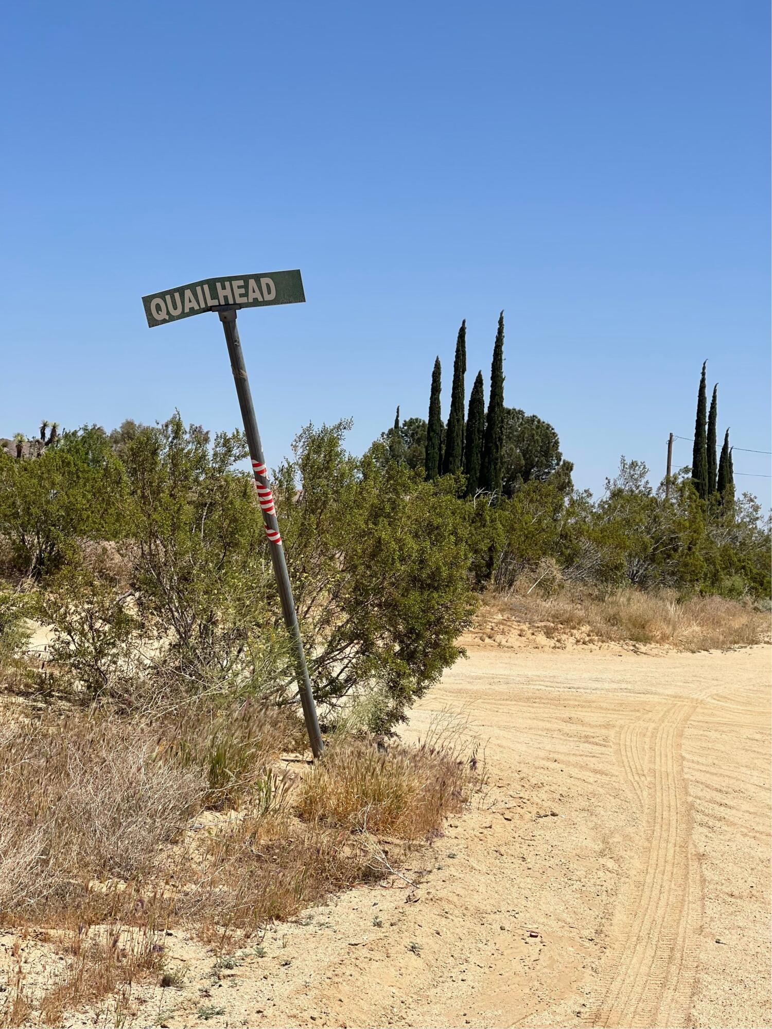 Backus Road Mojave, CA 93501 - Photo 5 of 5 Untitled design