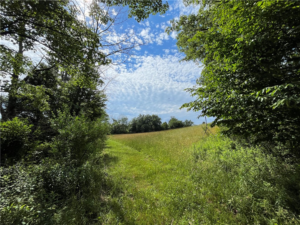 275 Neason Road Chemung, NY 14825 - Photo 44 of 50