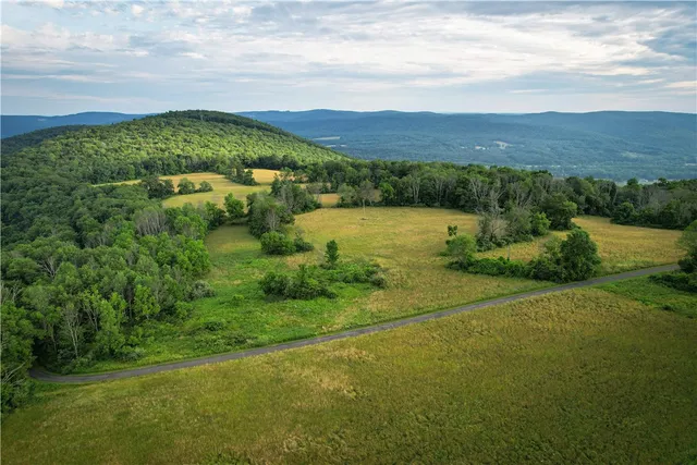 $1,295,000 | 275 Neason Road, Chemung, NY 14825