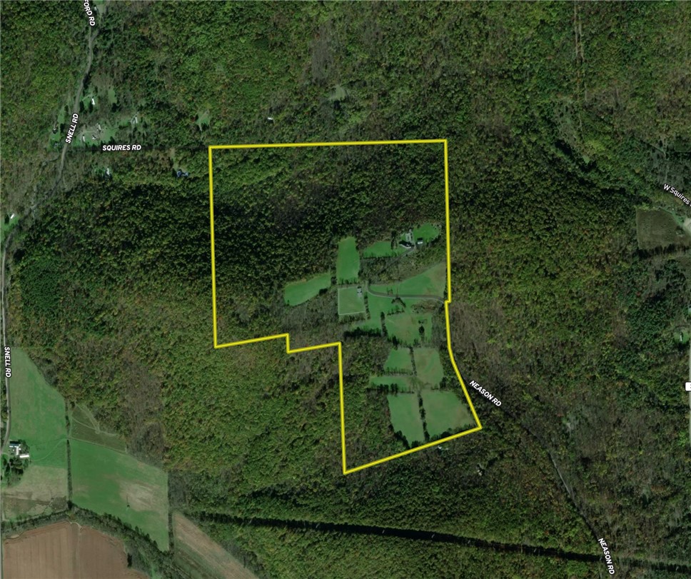 275 Neason Road Chemung, NY 14825 - Photo 48 of 50