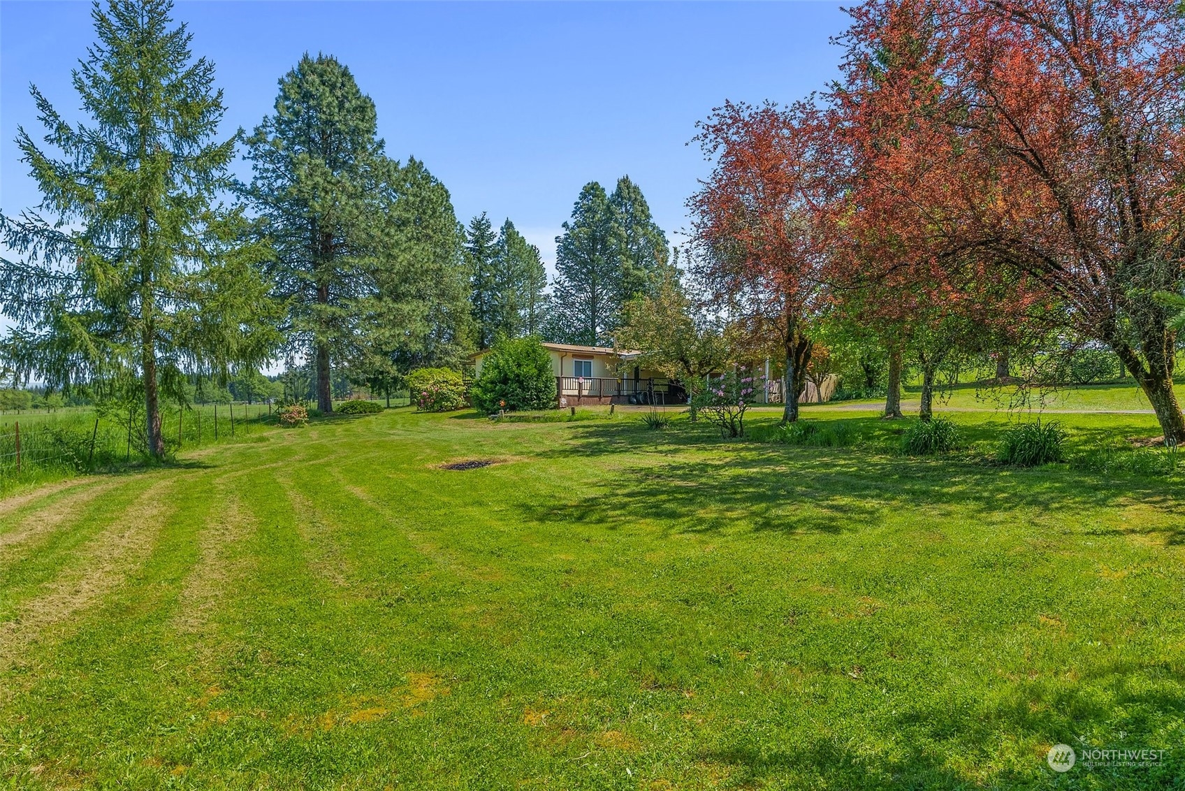 113 Coulson Road Chehalis, WA 98532 - Photo 23 of 25 a view of a park with large trees
