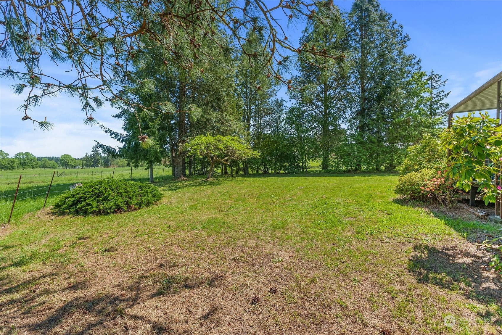 113 Coulson Road Chehalis, WA 98532 - Photo 24 of 25 a view of a garden with a tree