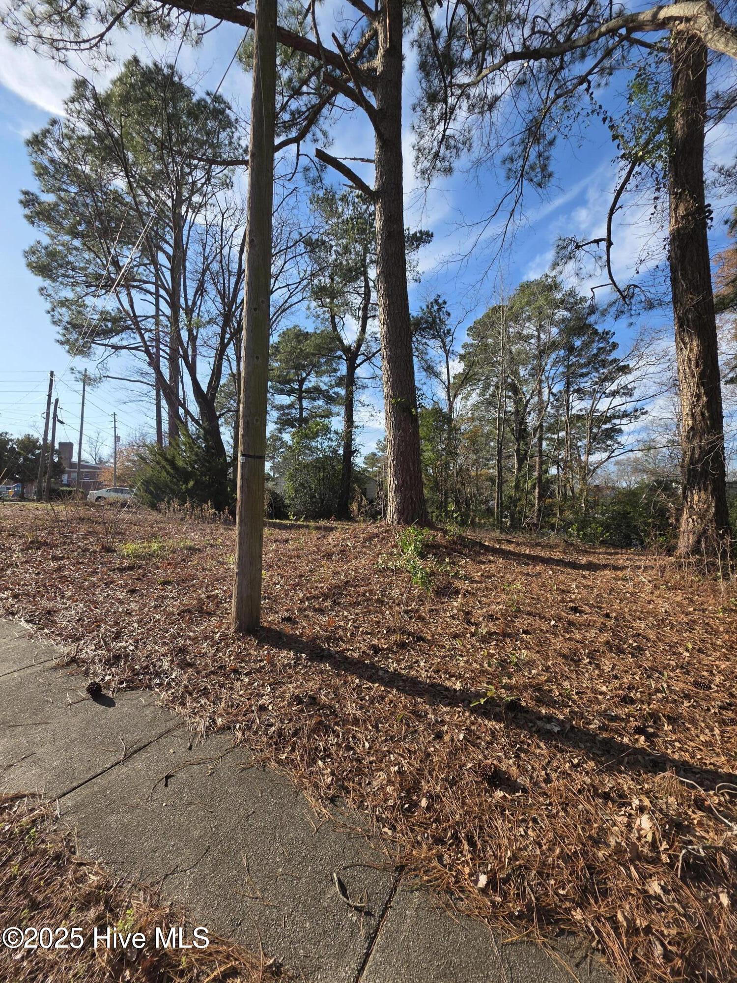 404 Summit Avenue Kinston, NC 28501 - Photo 4 of 6 12433