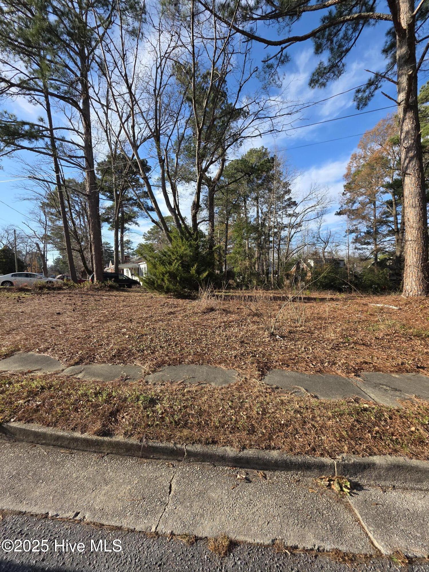 404 Summit Avenue Kinston, NC 28501 - Photo 5 of 6 12431