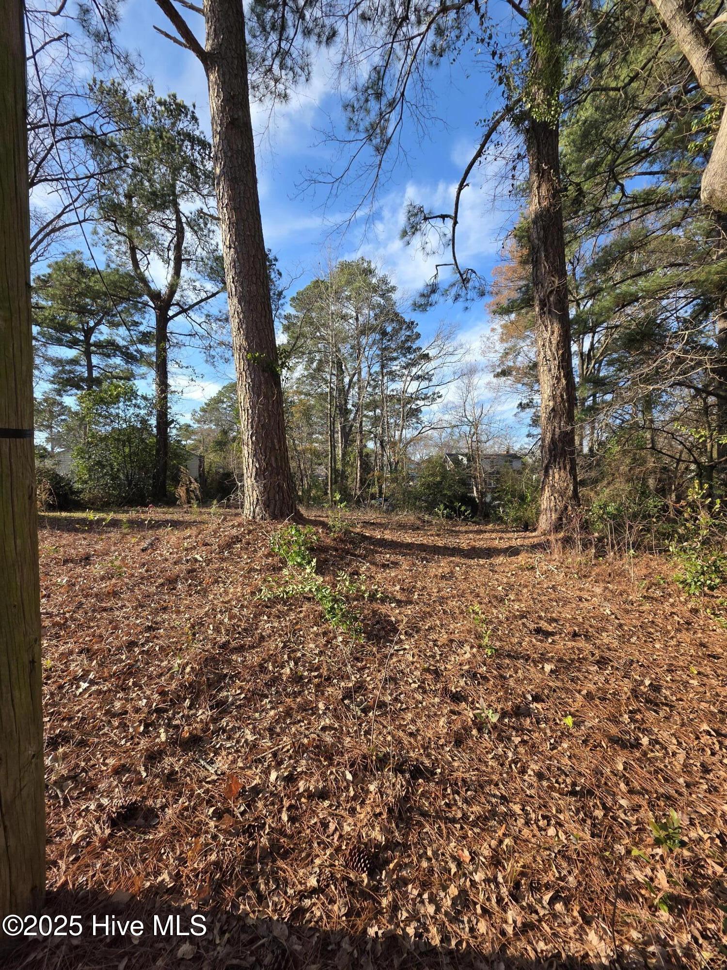 404 Summit Avenue Kinston, NC 28501 - Photo 6 of 6 12432