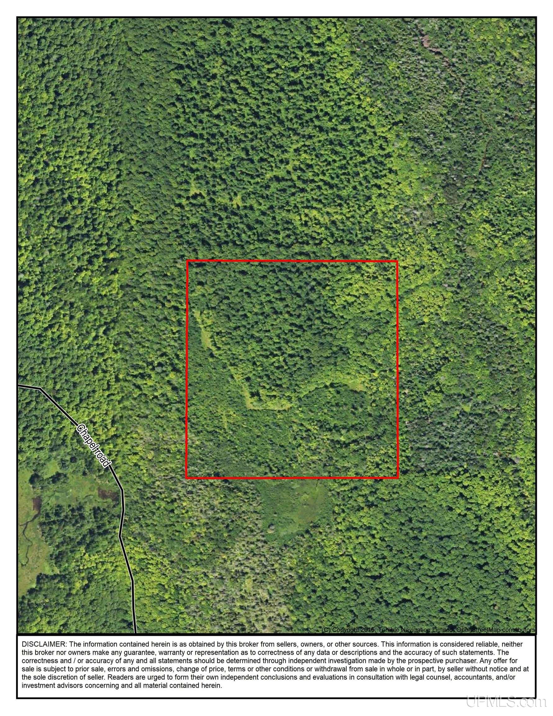 40-acres 40-acres Camp Road Shingleton, MI 49884 - Photo 19 of 20