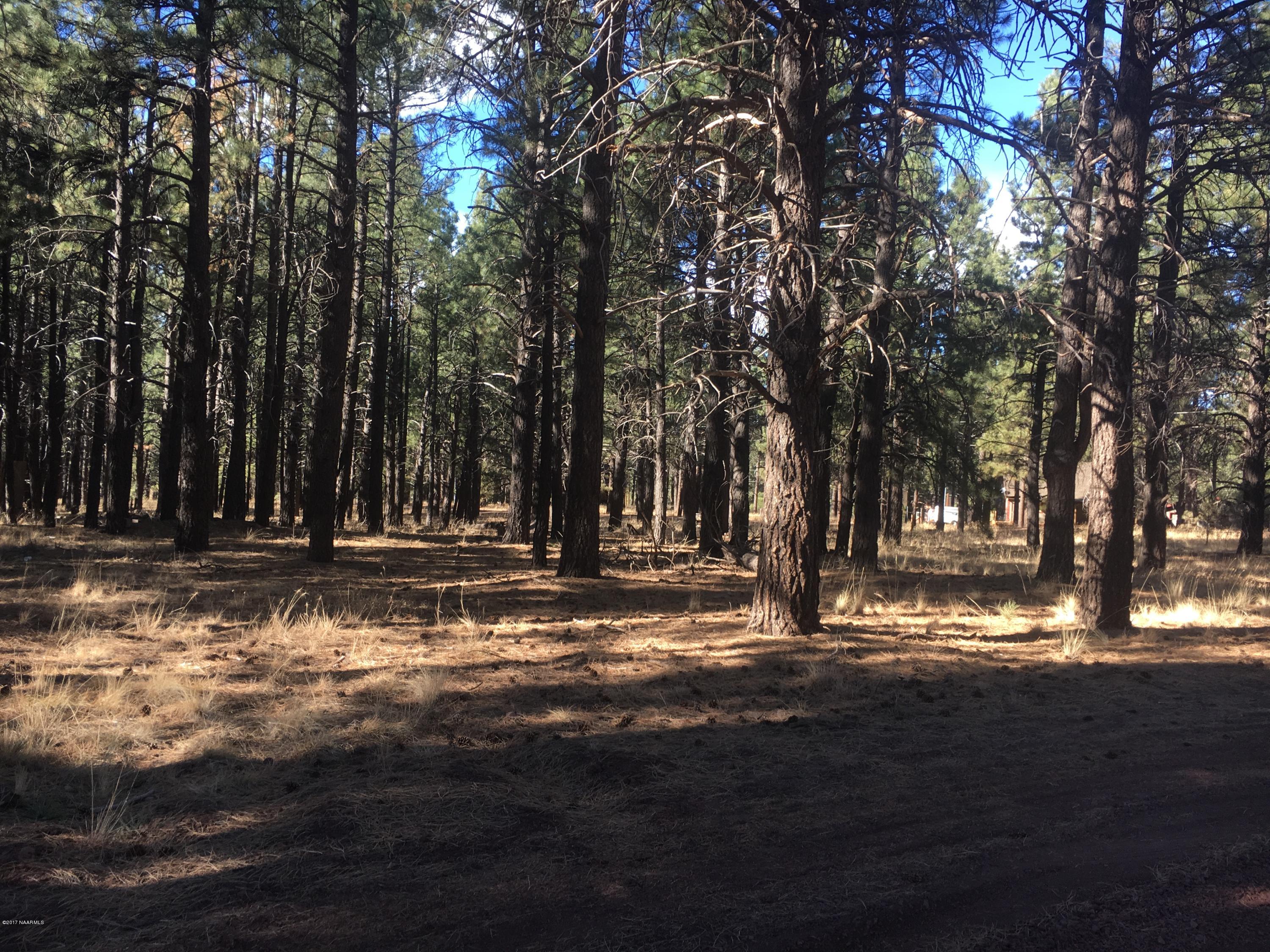 13086 King John Road Parks, AZ 86018 - Photo 1 of 6 Level Lot