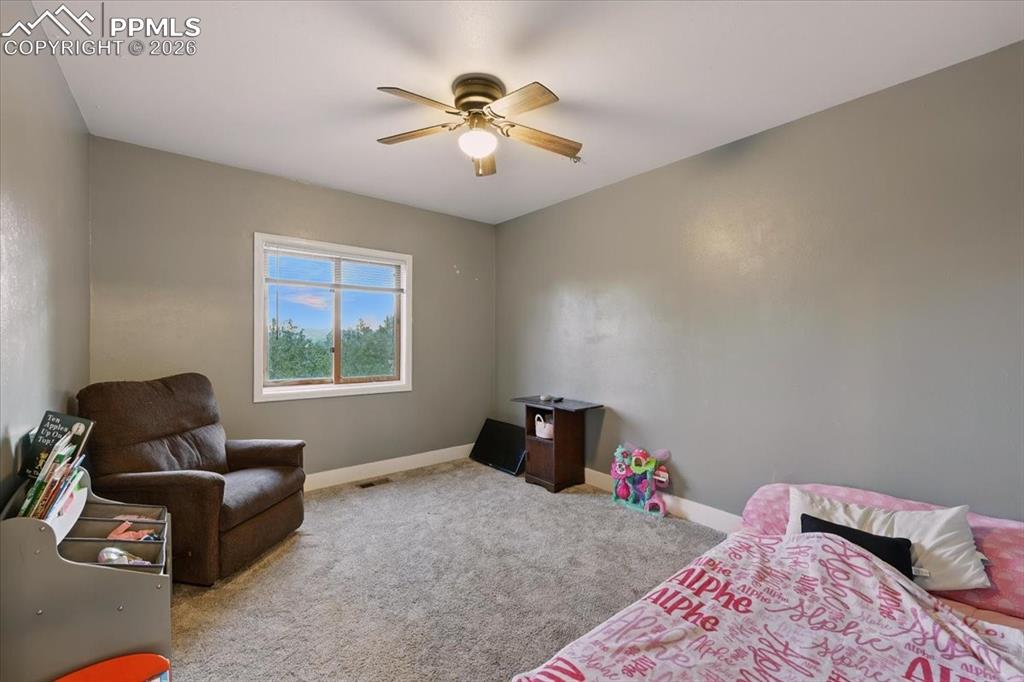 1721 Wildhorn Road Florissant, CO 80816 - Photo 6 of 48 Bedroom 1