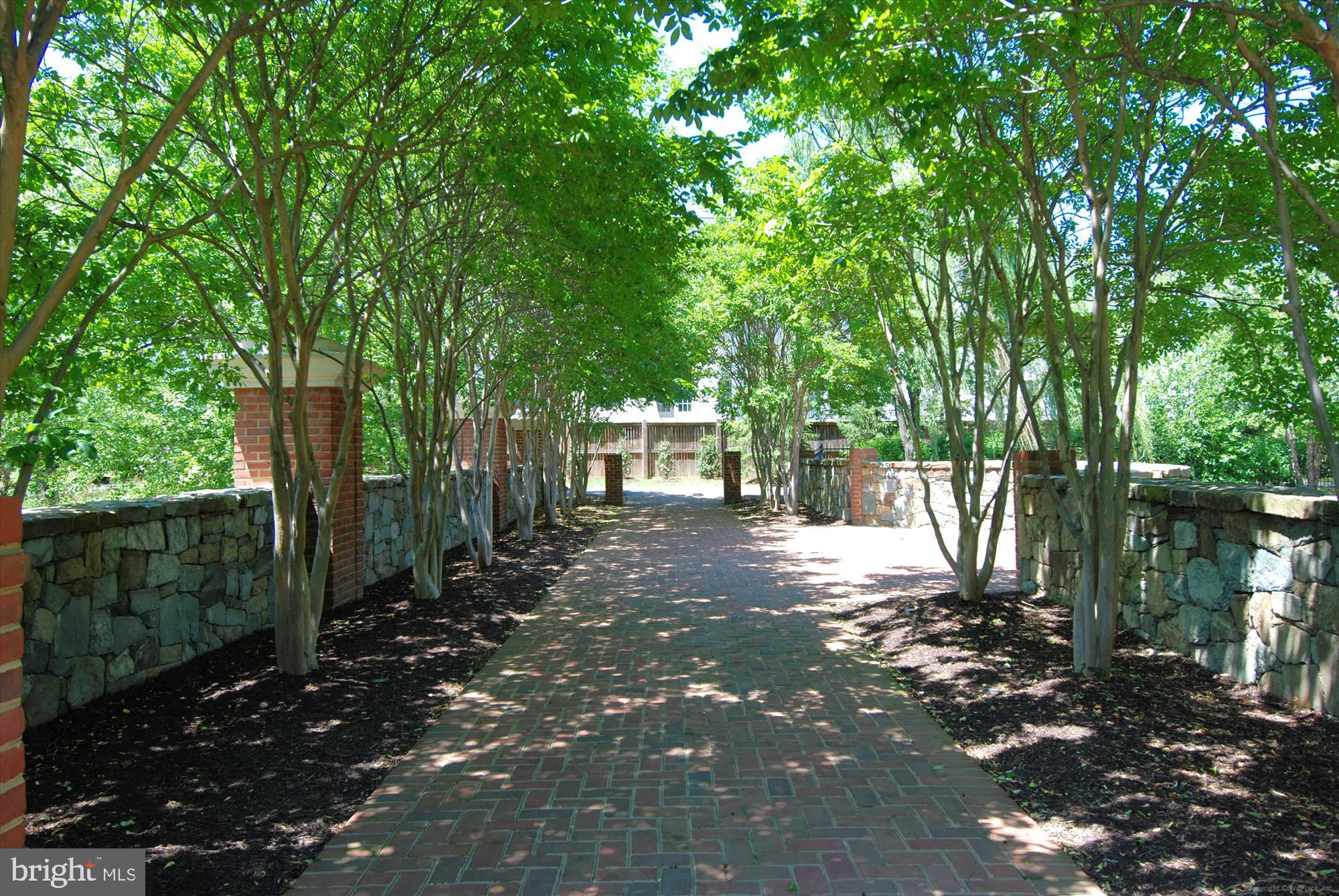 706 Crisfield Way Annapolis, MD 21401 - Photo 67 of 71 a view of a back yard