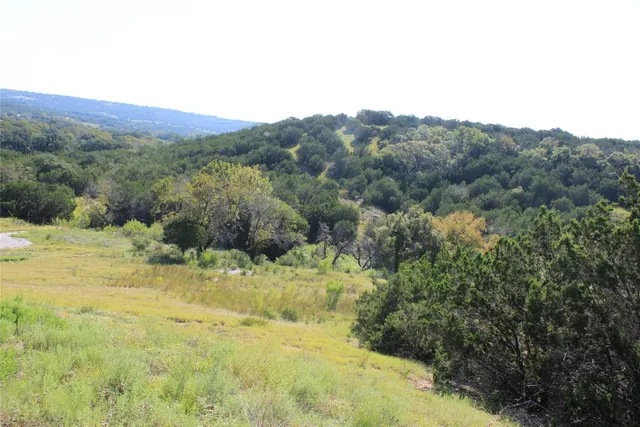 a view of a yard with a mountain
