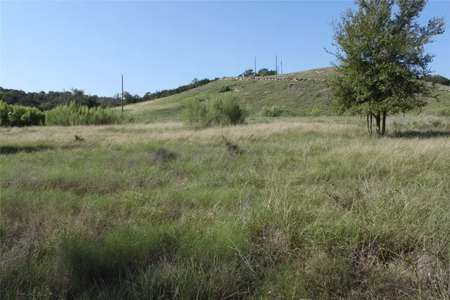 a view of a field of grass and trees