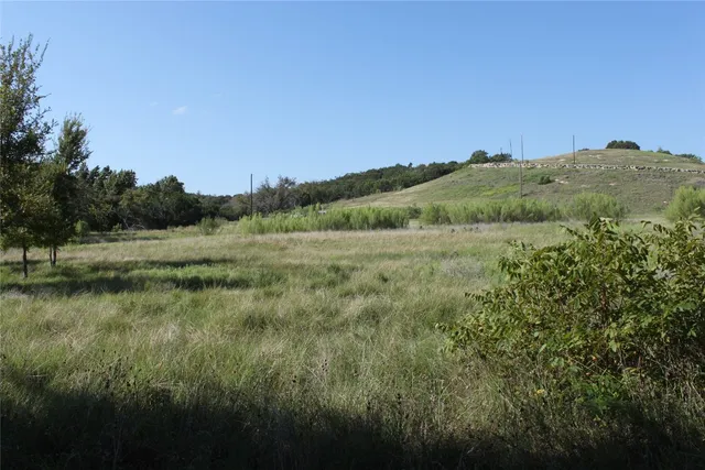 a view of a lush green forest with a lake