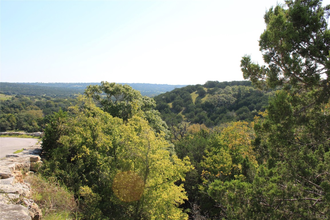 Lot 100 Saddle Ridge Drive Bertram, TX 78605 - Photo 17 of 27 a view of a city with lush green forest