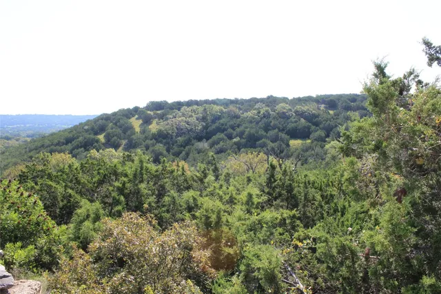 a view of a forest with mountains in the background