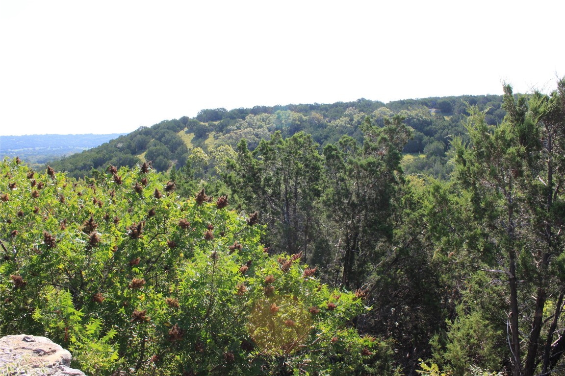 Lot 100 Saddle Ridge Drive Bertram, TX 78605 - Photo 19 of 27 a view of a mountain in the distance in a field